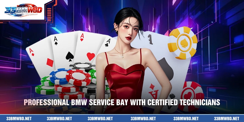 Professional BMW service bay with certified technicians
